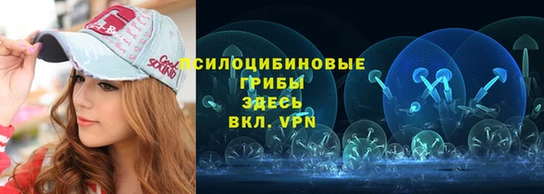 стаф Алексеевка