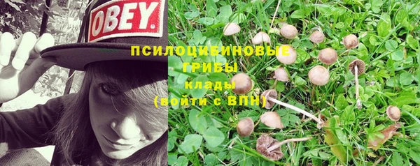 стаф Алексеевка